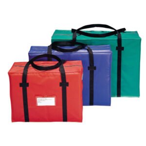 Cash_Bags_Large
